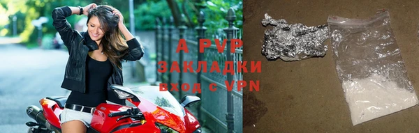 индика Белокуриха