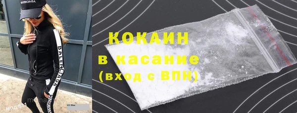 индика Белокуриха
