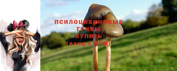 молекула духа Беломорск