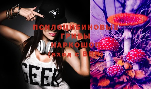 индика Белокуриха