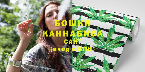 индика Белокуриха